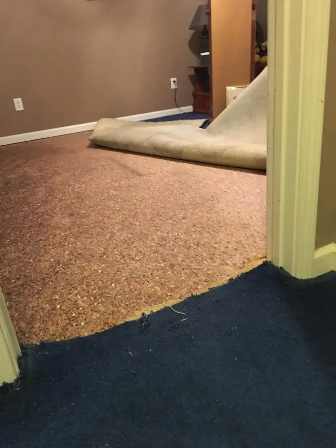 Carpet pad removal revealing water damage during Water Mitigation Services in Van Buren