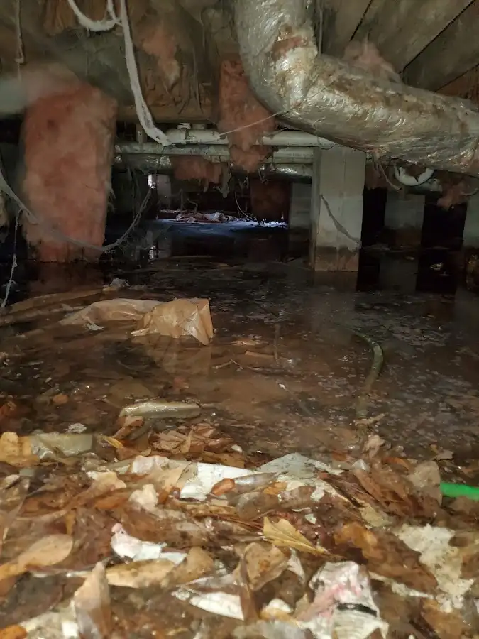 Crawl space flood assessment for Commercial Water Damage Restoration in Van Buren
